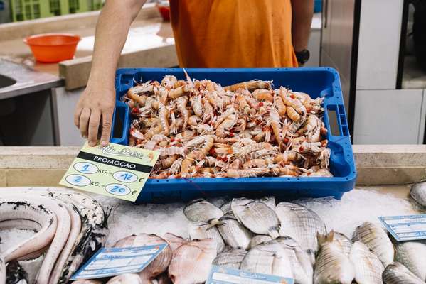 Prawns and fish at Vila Real’s market
