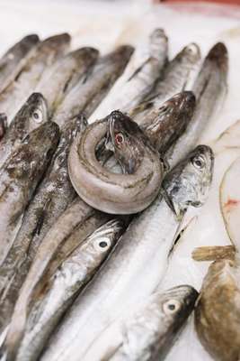 Whitefish at Vila Real’s market 