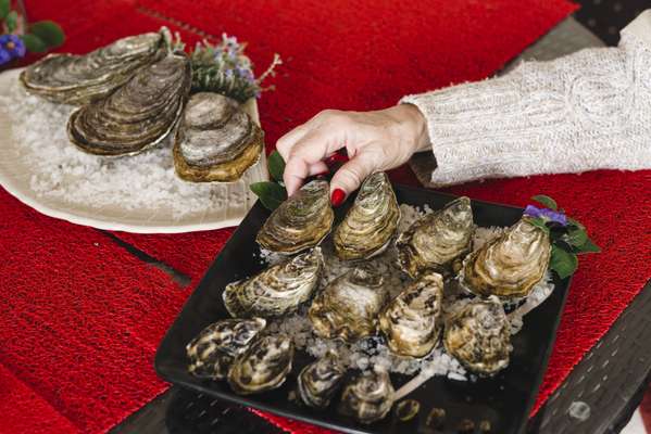 Oysters at Moinho dos Ilhéus 