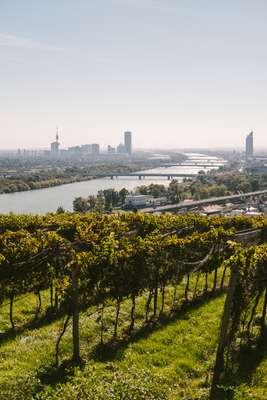 Taverns on Vienna’s outskirts often offer spectacular views