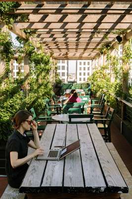 Guests working at Alto, the Ace Hotel New Orleans rooftop garden