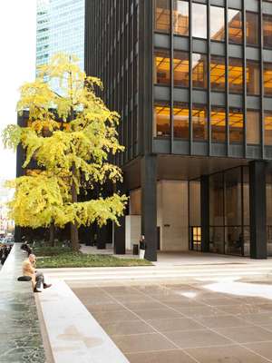 Mies van der Rohe-designed building 