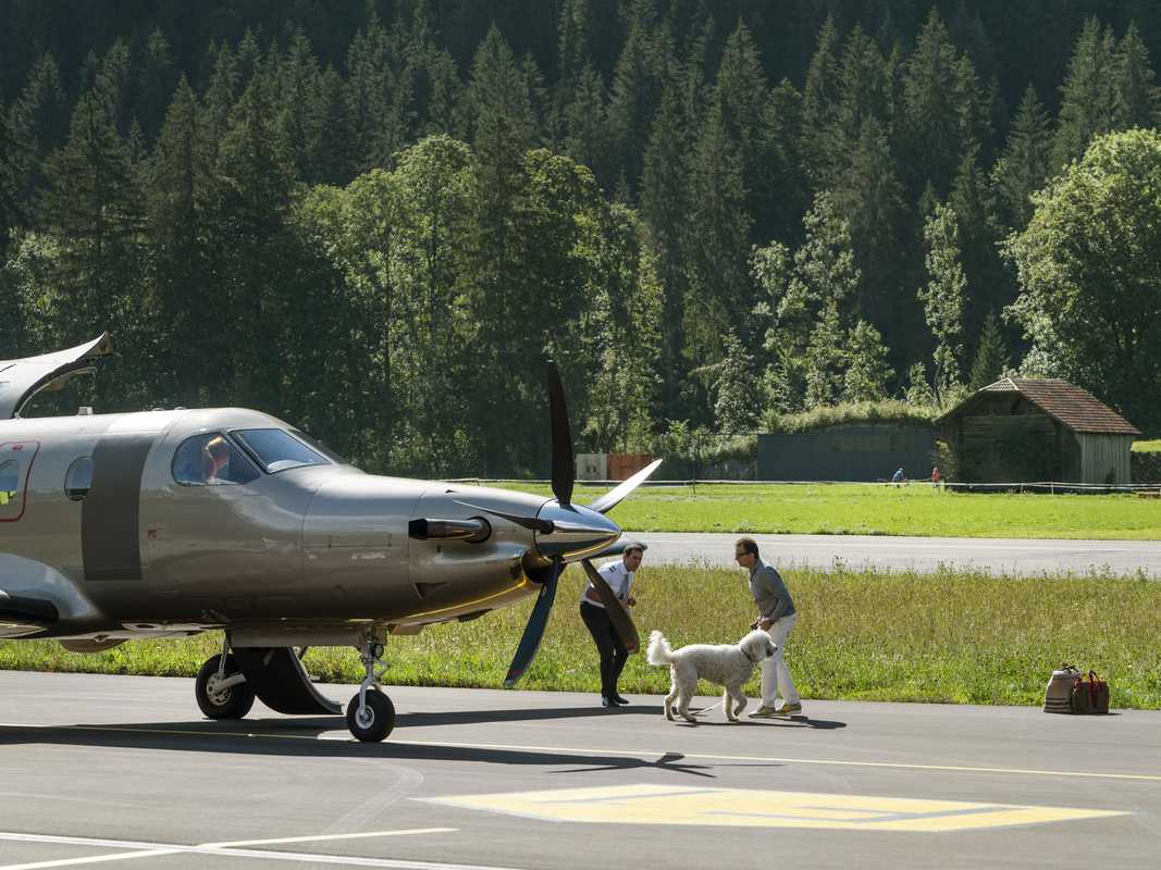 In the Alps, dogs are frequent flyers too