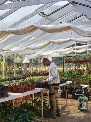 Sebastien Rodriguez in the R&D greenhouse