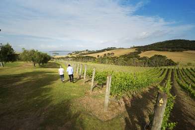 Waiheke Island