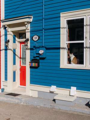 Jelly-bean house in downtown St John’s