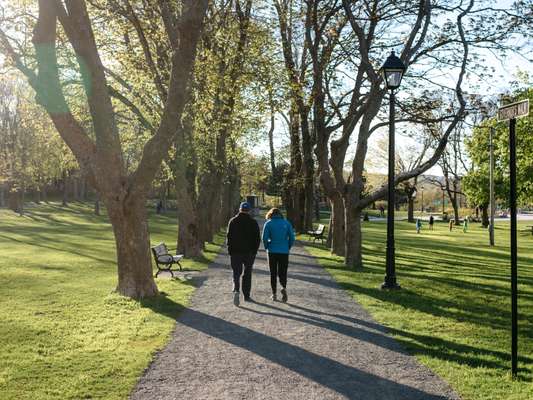 Bannerman Park