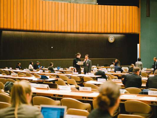 UN delegates discuss landmine treaty