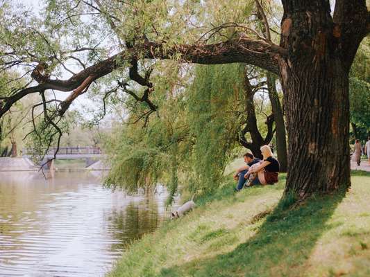 Couple with dog in Novodevichiy park 