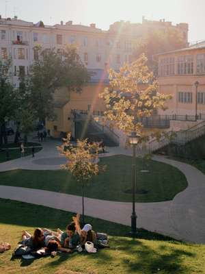 Sun-dappled gathering