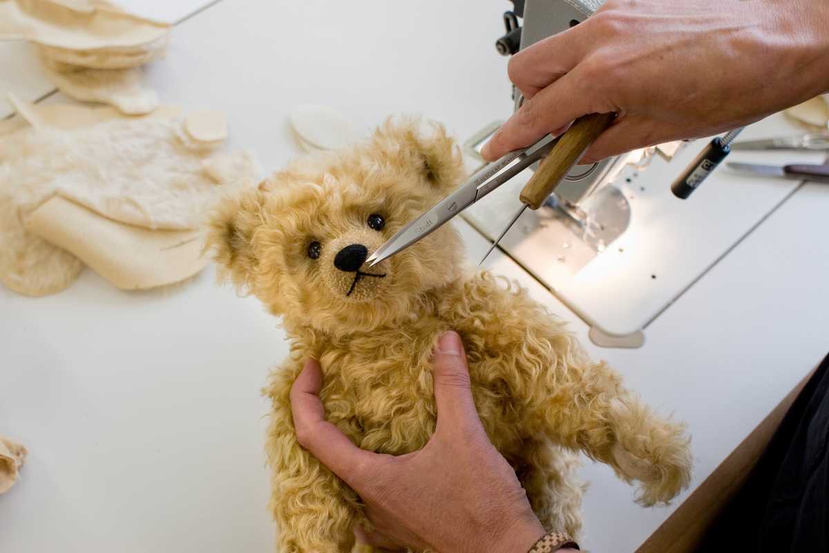 Delicate operation of stitching a bear’s nose 
