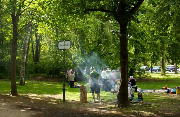 Barbecue in the Tiergarten