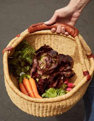 Fresh haul from the farmers’ market 