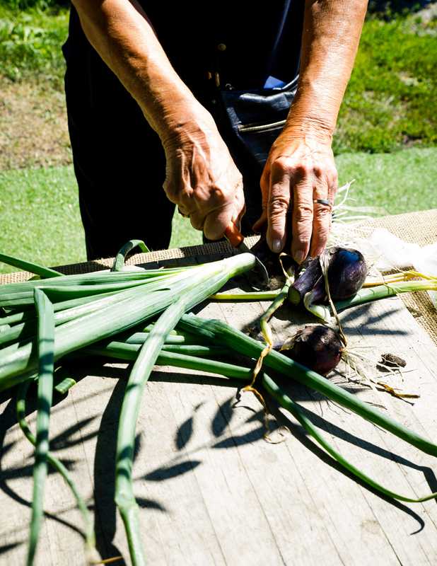 Trimming onions