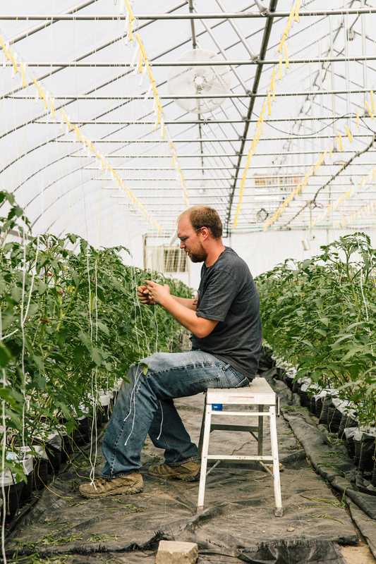 Jeff Gilbert, a hydroponic grower at Recovery Park