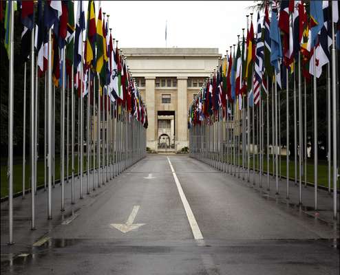 Flags line the road to the UN building