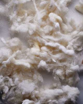Batch of wool in the Leeds factory