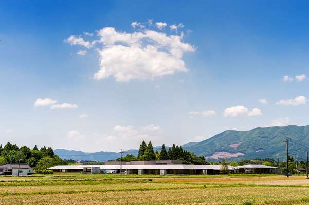 Nature surrounds the retirement home