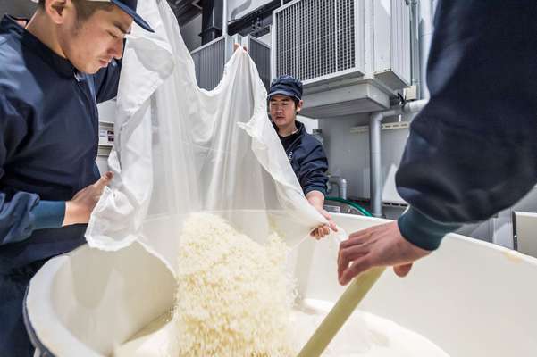 Making saké at Noguchi Naohiko Sake Institute 