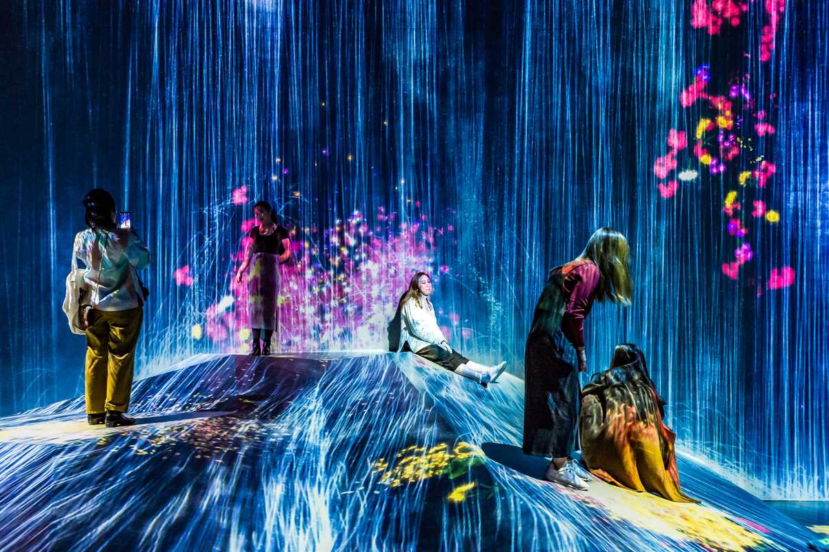 ‘Universe of Water Particles on a Rock Where People Gather’ , TeamLab Borderless 