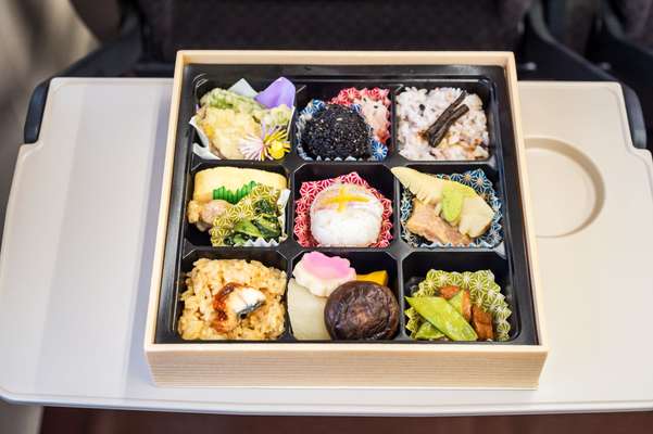 Bento box on the Shinkansen 