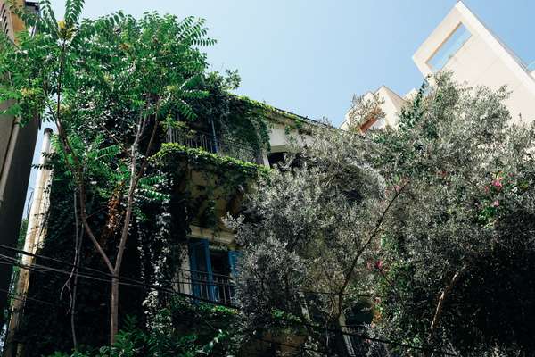 Planting keeps prying eyes away in the Ashrafieh district