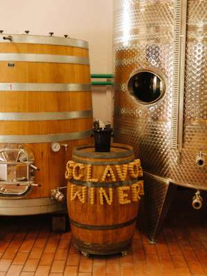 Sclavos is a biodynamic producer
