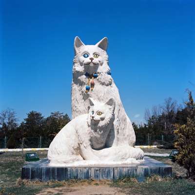 The Van cat in statue form 