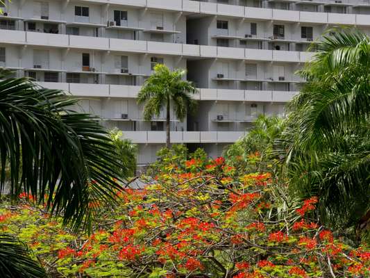 Some residents have opted for air-conditioning units to complement the island’s breezes