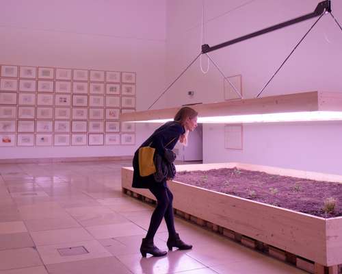 A visitor explores an exhibition on land art