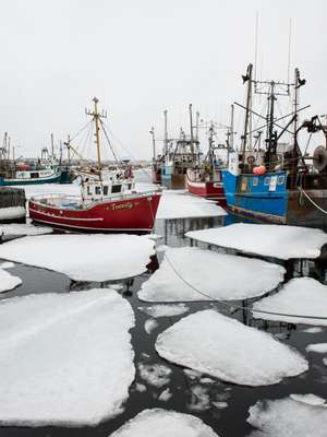 Fishing boats tethered in the harbour, in amongst the broken-up pack ice