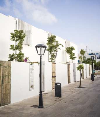 Houses are on a peaceful pedestrian street