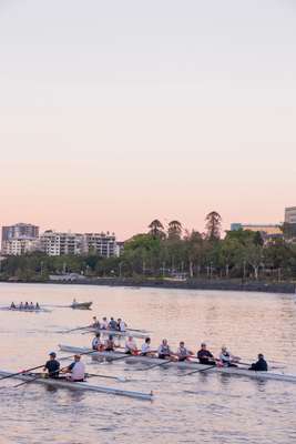 Rowers on the Brisbane River