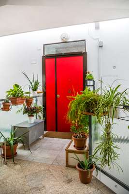 Front door to Guidotti's second-floor apartment at Via Turchia