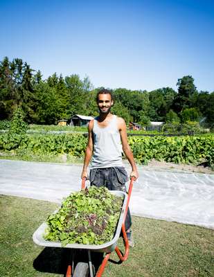 Gardener at Slottsträdgården 