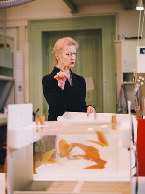 Contemporary-art conservation and  restoration professor Gerda Kaltenbruner