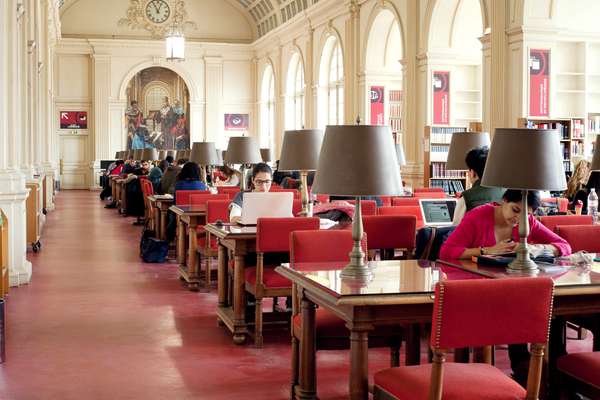 Hard at work in the  Cité’s library