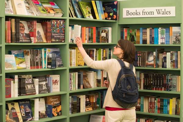 Book browsing during the 2016 festival 