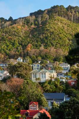 Wellington houses are often built on hillsides
