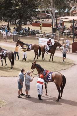 Saddling up the thoroughbreds at  the Broome Turf Club – place your bets