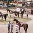 Saddling up the thoroughbreds at  the Broome Turf Club – place your bets