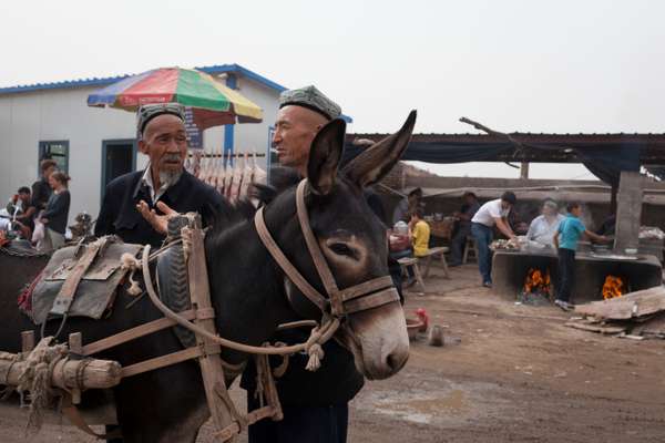 Donkey trader, Kashgar Livestock Market