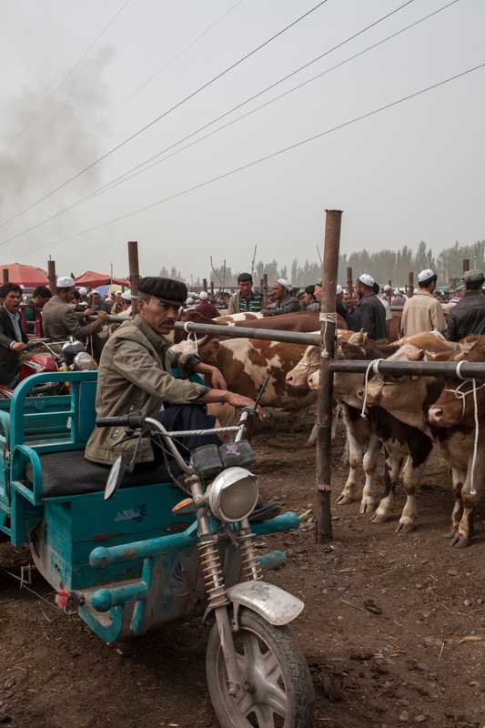 Kashgar Livestock Market