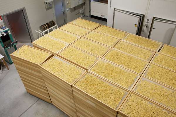 Penne being  air-dried in wooden crates 
