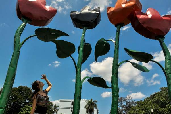 Past “Flower Mount” works by students that are today part of the school