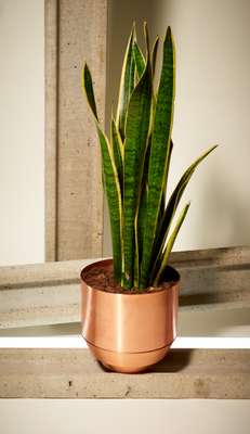 Bowls and planters, Yield