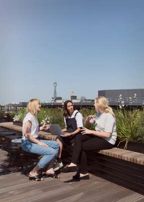 A meeting in the rooftop garden 