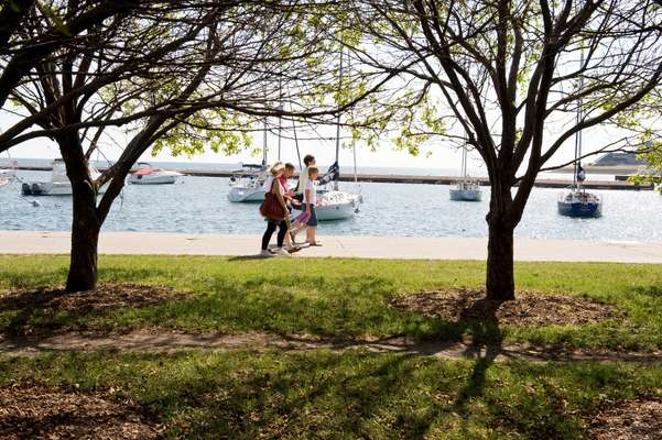 The South Loop marina