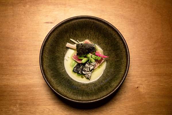 Tuna ‘tataki’ with  ‘shishito’ pepper and edamame