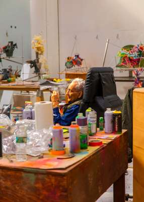 Stella in his studio